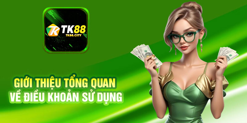 Giới Thiệu Tổng Quan Về Điều Khoản Sử Dụng