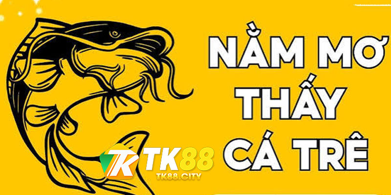 Thấy Bắt Cá Trê Đen Là Điềm Báo Tốt Hay Xấu